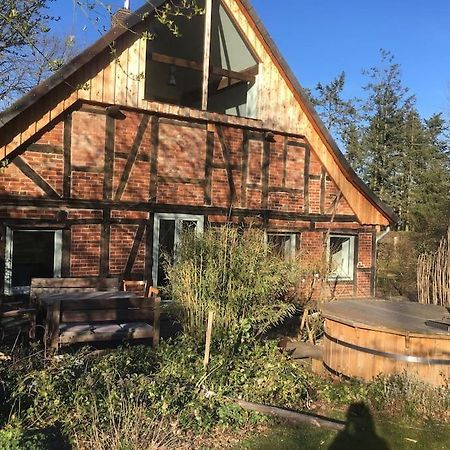 Wunderschoenes Bauernhaus An Der Elbe بليكيد المظهر الخارجي الصورة